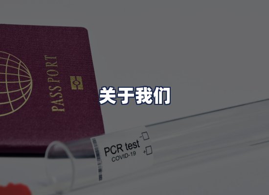 关于我们